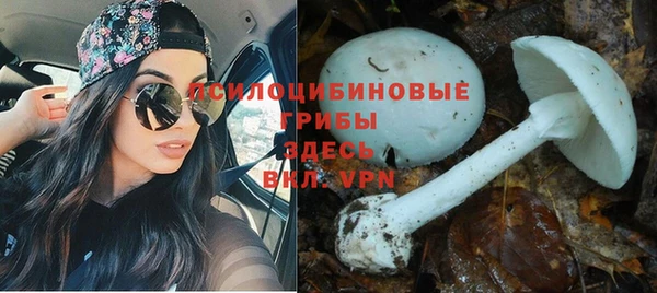 дистиллят марихуана Белокуриха